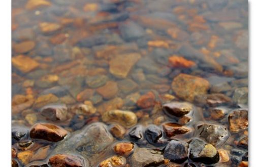 Pebbles In Water1